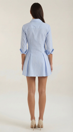 Jeanette Striped Shirt Mini Dress